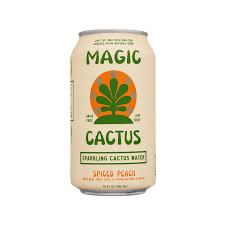 Magic Cactus - Spiced Peach (4 pack)